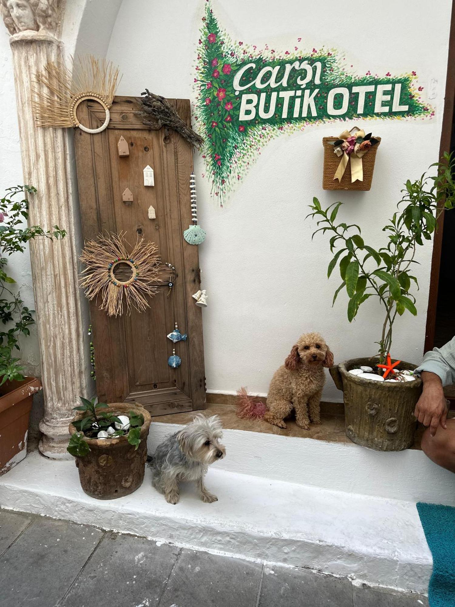 Carsi Butik Otel Bodrum Exteriér fotografie